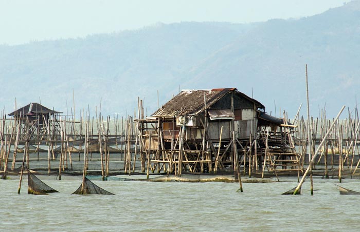 visserij, Los Banjos, Luzon, Filipijnen, staande netten, kwekerij
