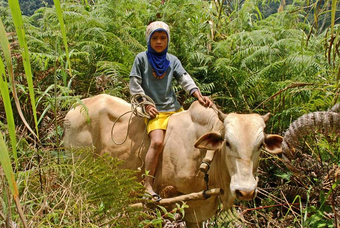 mensen, Filipijnen, Mindanao, Mount Kitanglad, sleeptransport