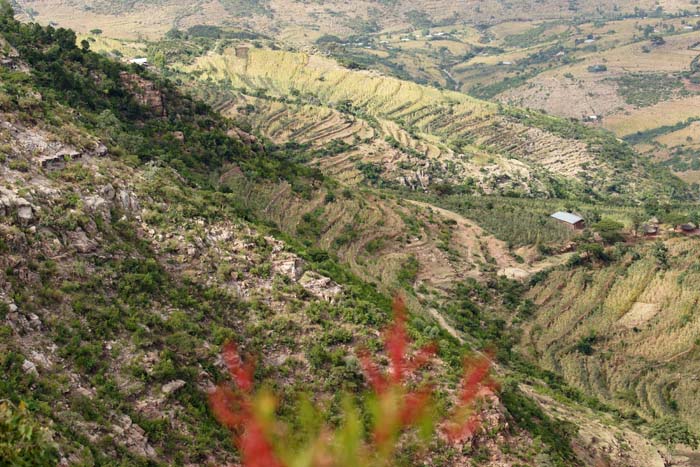 terrassenlandschap, landbouw, Ahmargebergte, reizen, Ethiopië