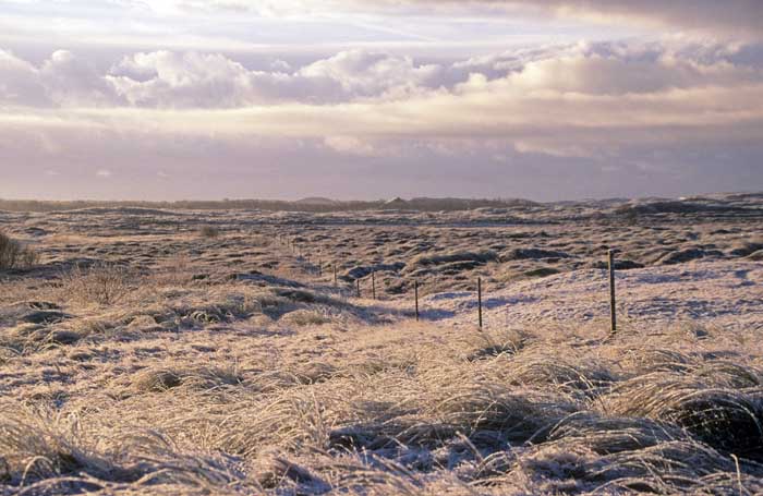 duingebied, rijp, de Mient, Bollekamer, Texel, weer