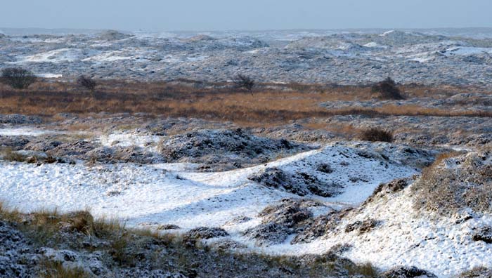 weer, duingebied, sneeuw, Nationaal Park, Bollekamer, Texel