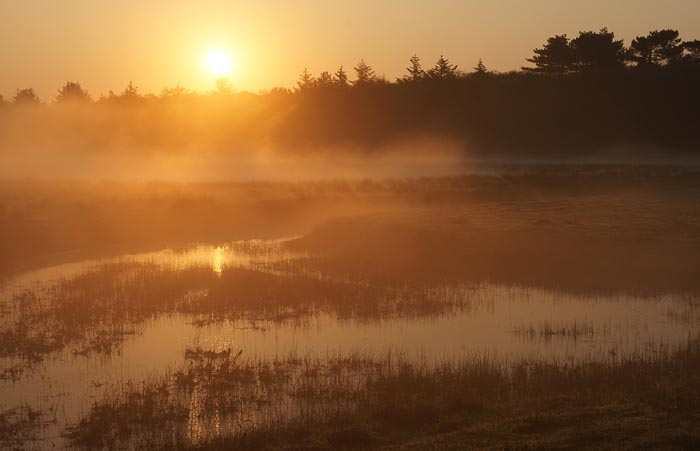ochtendnevel Ploegelanden Texel