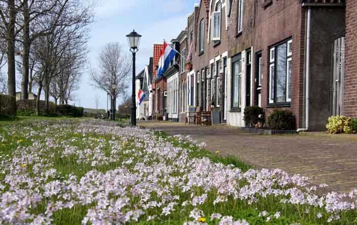 Oudeschild Heemskerckstraat pinksterbloemen