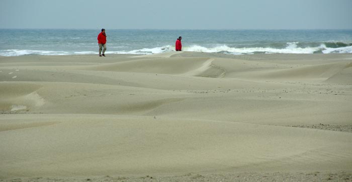 Terschelling strand duintjes barchaanduinen