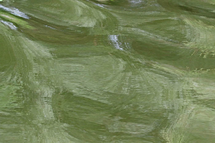 abstract, water, Donau, delta, Roemenië