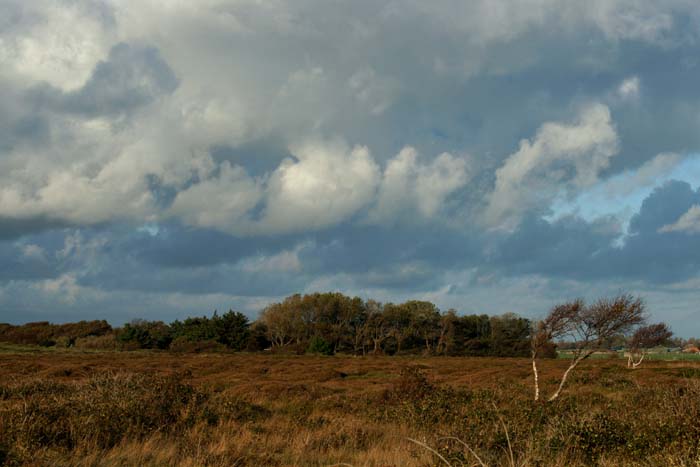 duinen, heide, weer, herfst, wolken, Bollekamer, Texel