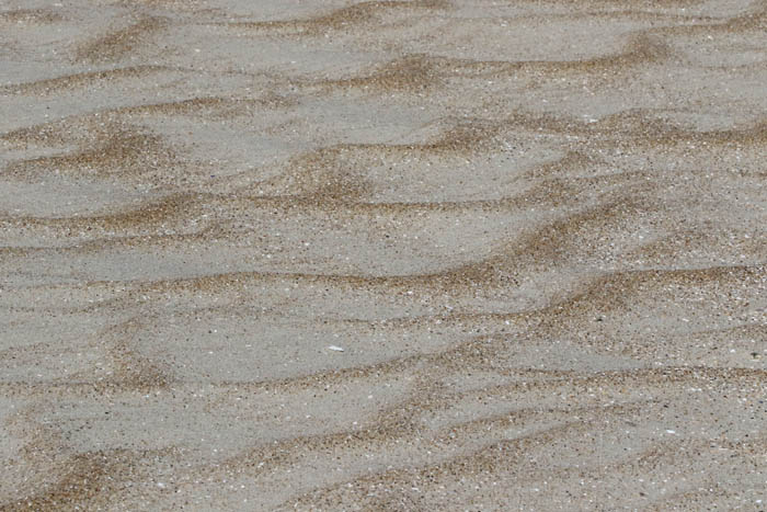 zand, schelpgruis, De Hors, Texel, waddengebied