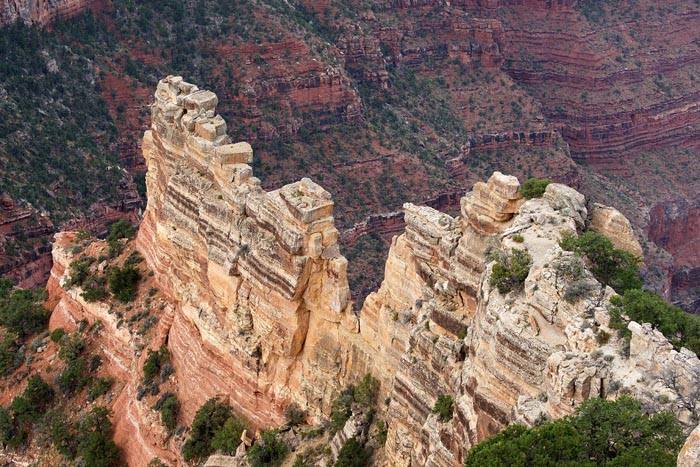 Grand Canyon, Cape Royal, North Rim, Arizona, USA