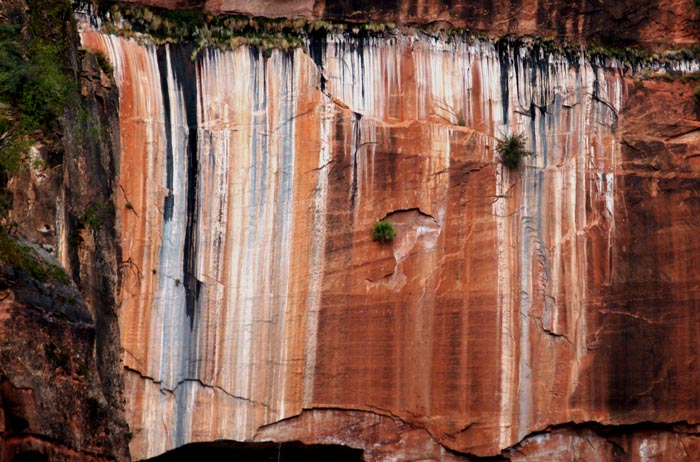 bergebied, nationaal park, Mountain of Mystery, Zion National Park, Utah, USA