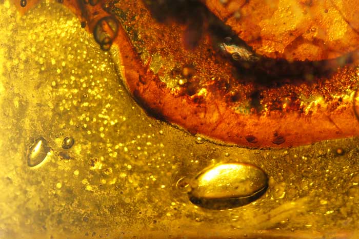 glas Texel wrak aanspoelsel