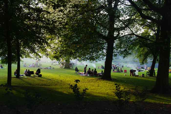 Rotterdam park picknicken