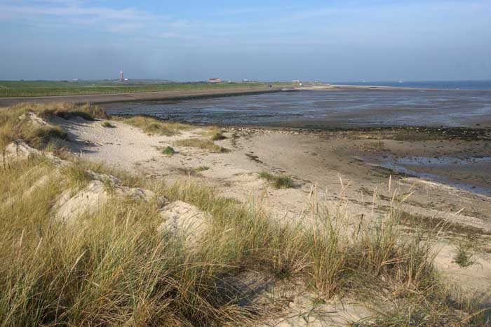 Texel Waddenzee volharding duin dijk