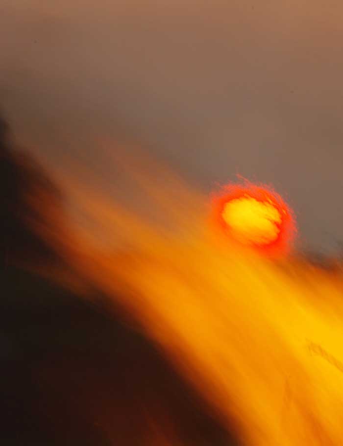 voor zon Meierblis Texel