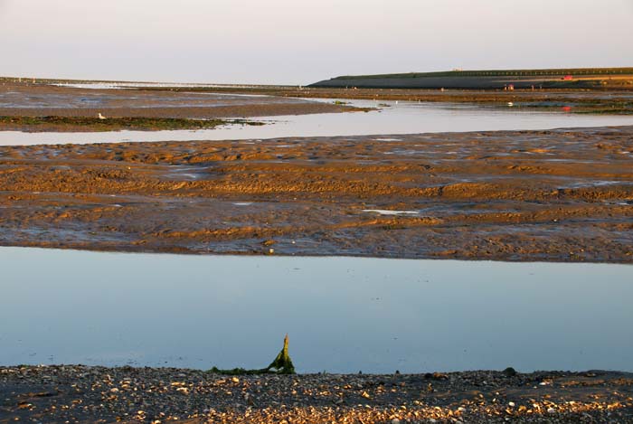 slik wad Waddenzee laag water eb De Cocksdorp