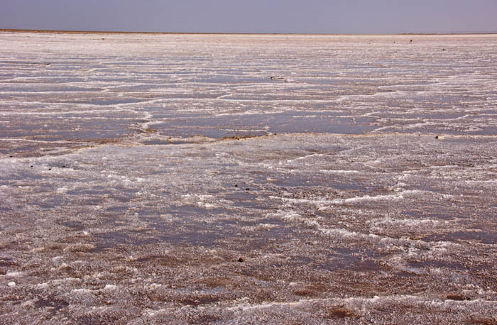 zoutvlakte, Danakil woestijn, Afar, Ethiopië, Grote Slenk