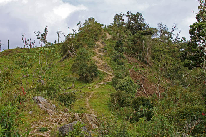 bergen, Inca's, bergpad, San Lorenzo, Noord-Peru