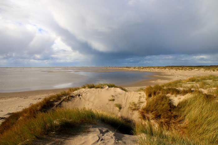 Hors Texel jonge duinen herfst