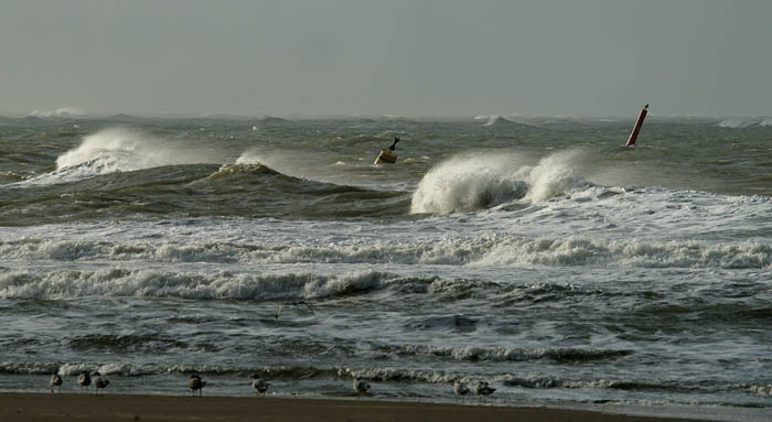 Noordzee, storm, boeien, Texel, waddengebied