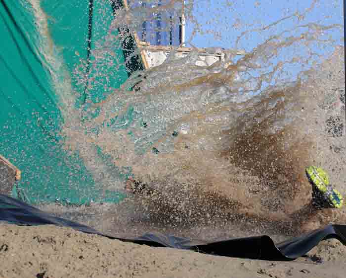 sport Beach Obstacle Run Texel BORT water