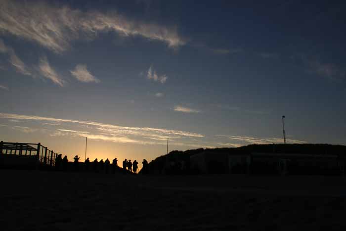 vogelaars strand zeetrek Texel