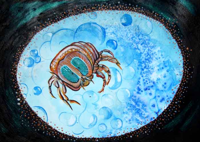 kwalvlo, kwalgarnaal