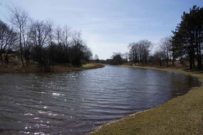 Amsterdamse Waterleidingduinen AW duinen kanaal