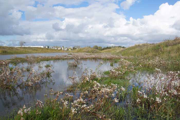 Den Helder De Nollen