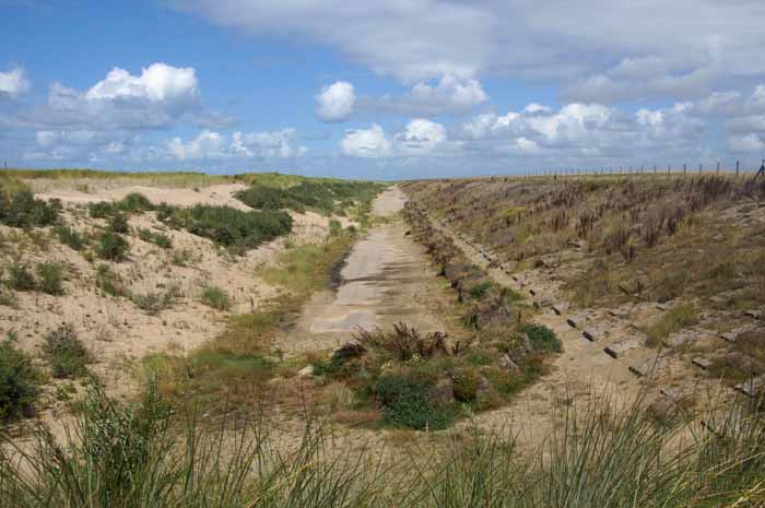 hondsbossche Zeewering nieuwe natuur suppletie kustbescherming