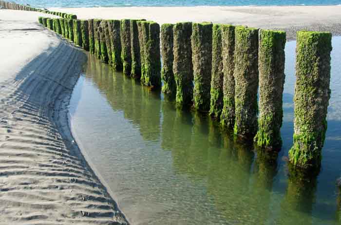 palissade kustverdediging Zeeland strand