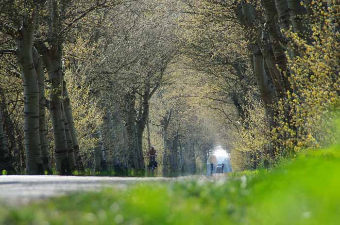 Zeeland populieren Noord- Beveland