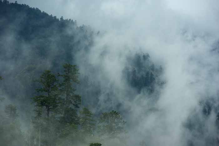 wolken regen gebergte Zwitserland