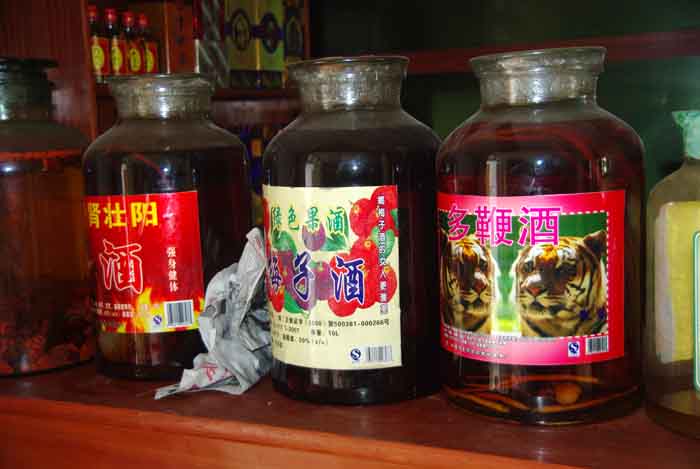 tijger bescherming bedreiding China