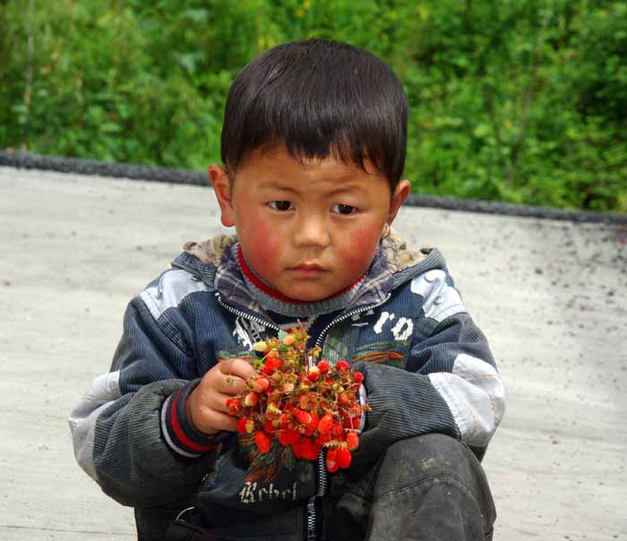 kind jongetje China aardbeien