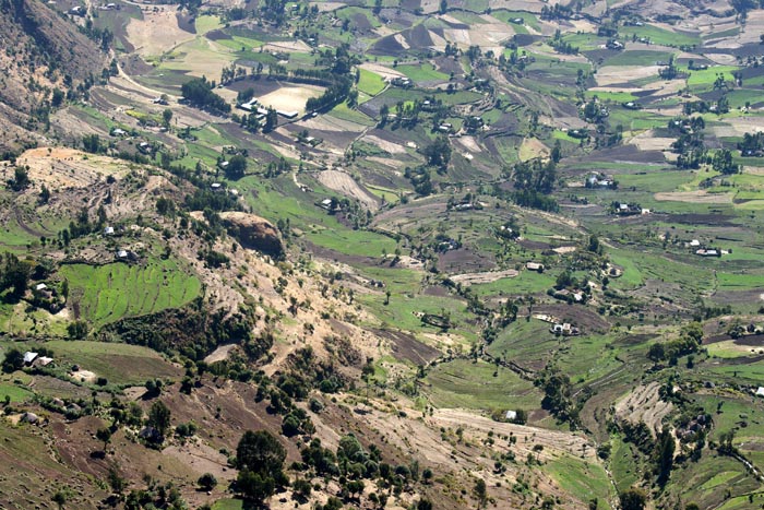 landbouw akkers, hoogland, gebergte, Ankober, Ethiopië