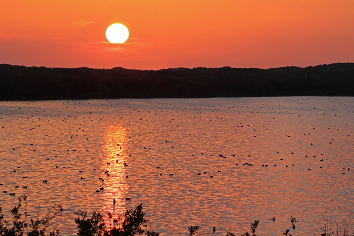 zon, zonsondergang, meer, Horsmeertje, Texel, eenden