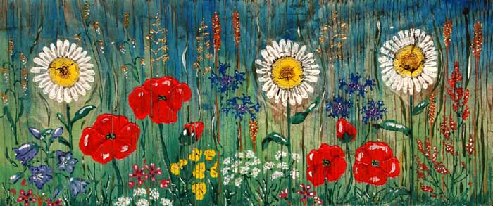 bloemen klaproos margriet juthout tekening