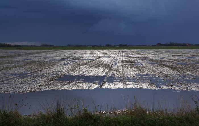 akker regen water Texel