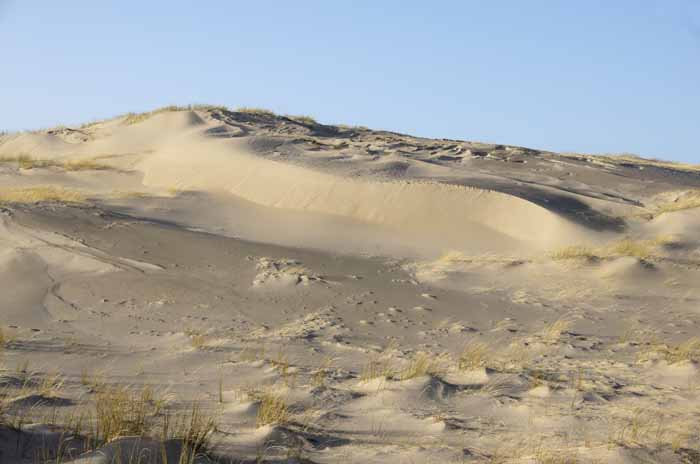 Texel stuiven duin zand stuifduin