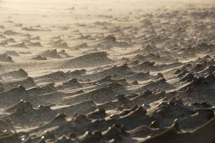 pukkelstrand schelpen wind stuivend zand