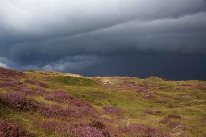 plankwolk shelf cloud duinen Texel Bollekamer onweer