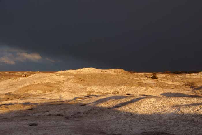 winter duinen sneeuw texel