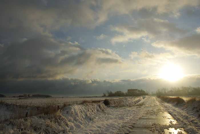 Texel sneeuw tuinwal Hoornderweg