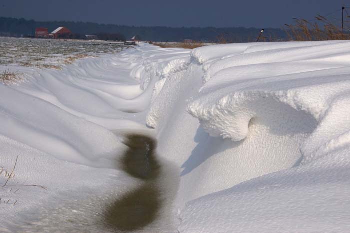 sneeuw stuifsneeuw Texel