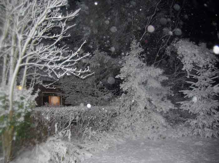 sneeuw avond tuin sneeuwbui