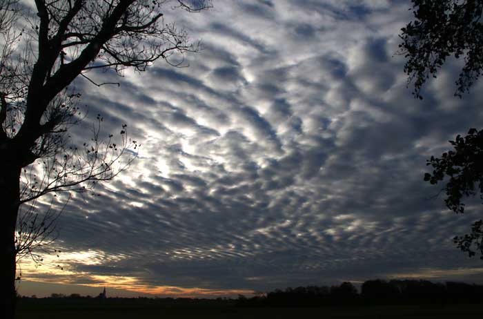 wolken Stratocumulus udulatus Texel