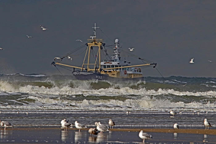 visserij, Noordzee, Molengat, de Hors, Texel, Wieringen