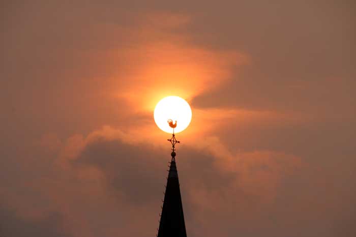 zon saharazand bosbranden rook