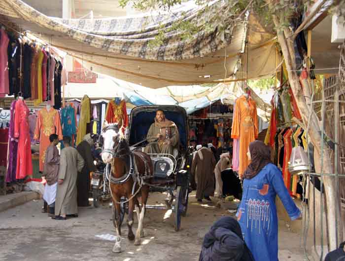 markt Egypte Luxor paard wagen