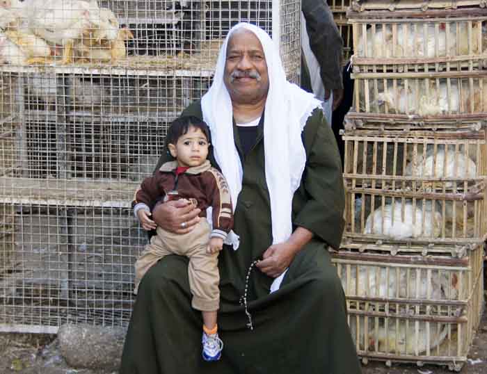 grootvader kleinzoon kippen Egypte