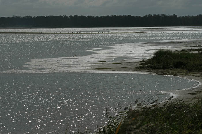 Noordwaard, Brabantse Biesbosch, natuurherstel, Brabant
